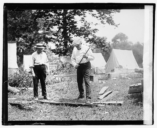 Harding chopping wood