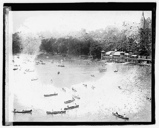 Regatta