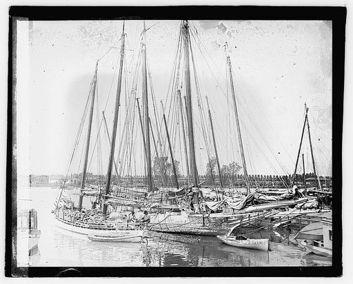 Water front scene
