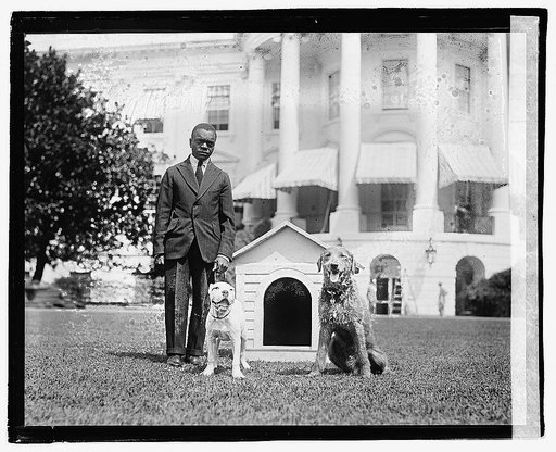 Mrs. Harding's dog O'Boy & Laddie Boy