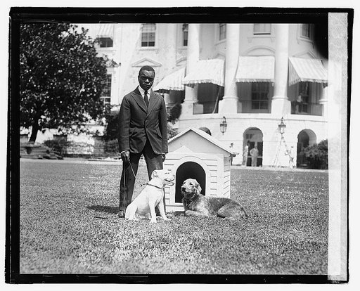 Mrs. Harding's dog O'Boy & Laddie Boy