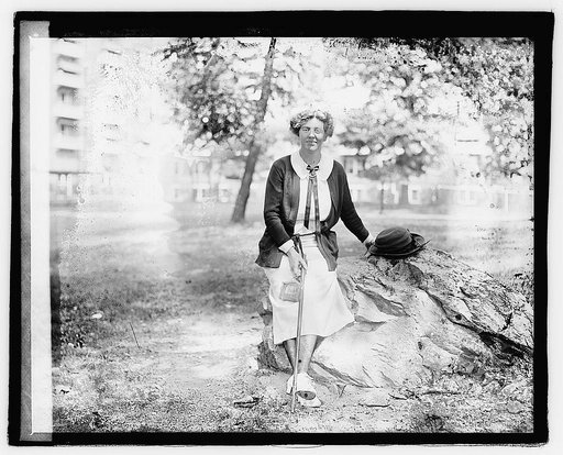 Mrs. C.N. Goodwin