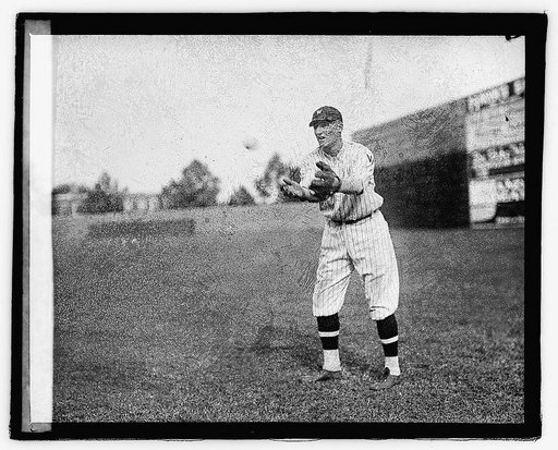 Goslin, 1921