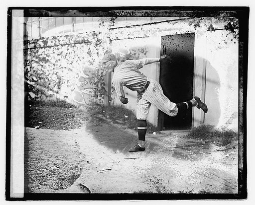 Bird, 1921