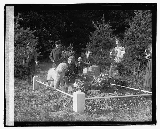 Dog funeral, 10/7/21