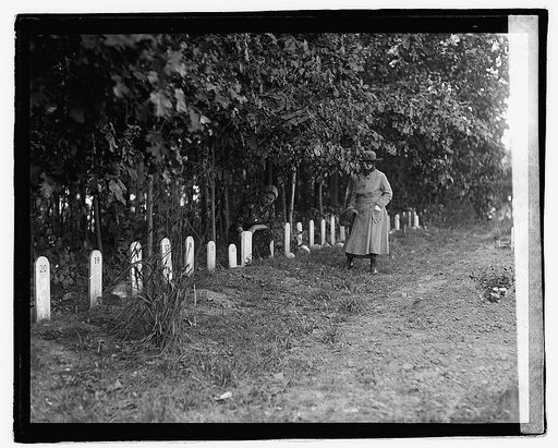 Dog cemetery