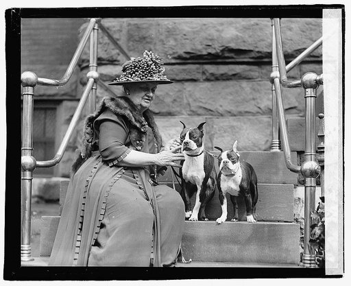 Mrs. Walter R. Stimess