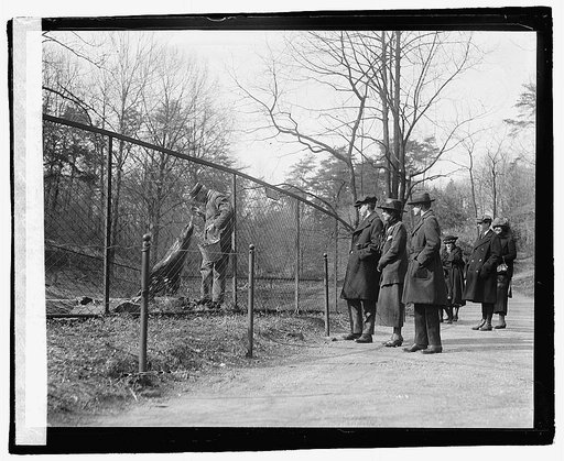 Coolidge boys & Mrs. Coolidge at Zoo