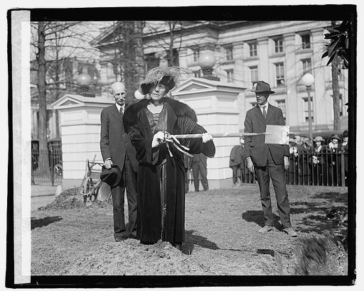 Mrs. Harding planting tree, 3/29/22