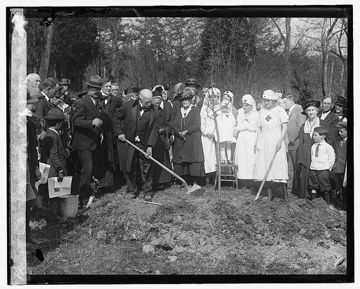 Clara Barton tree planting, 4/17/22