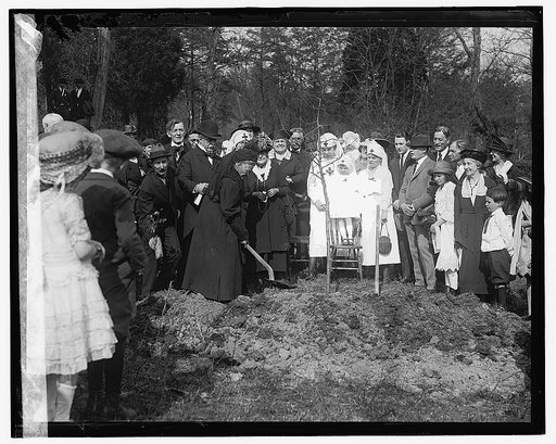 Clara Barton tree planting