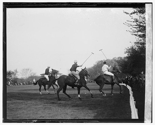Polo