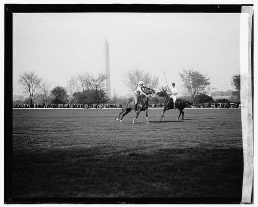 Polo, 4/15/22