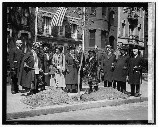 Tree planting, 4/22/22