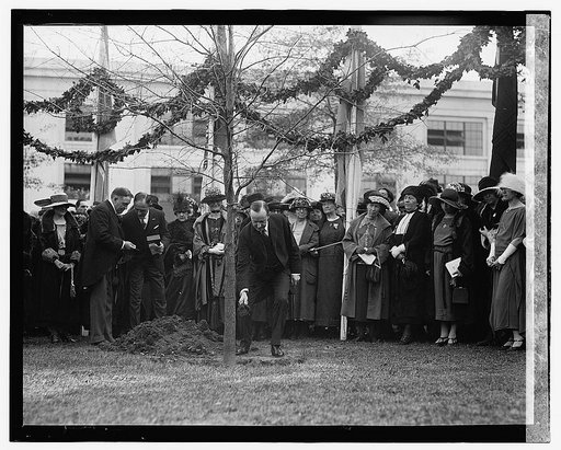 Coolidge at International Tree Planting