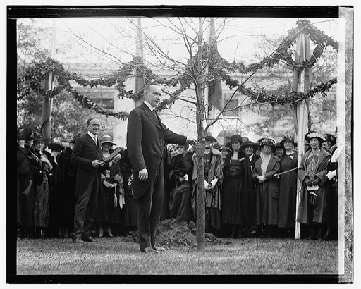 Coolidge at International Tree Planting