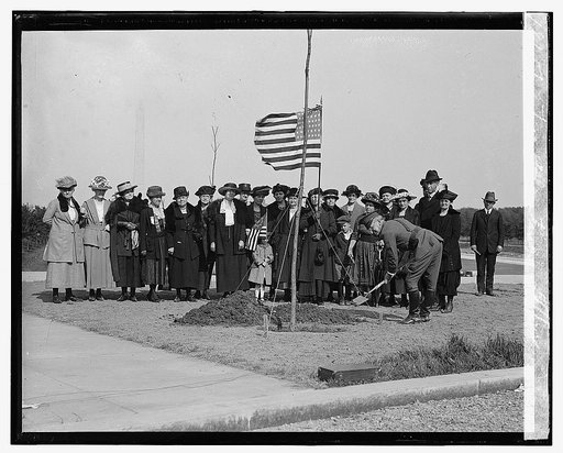 Tree planting, 5/1/22