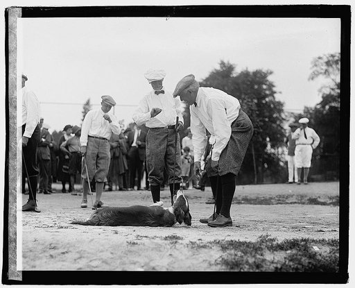 Harding in Newspaper Men's Tournament, 5/27/22