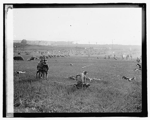 Gettysburg], 7/[22
