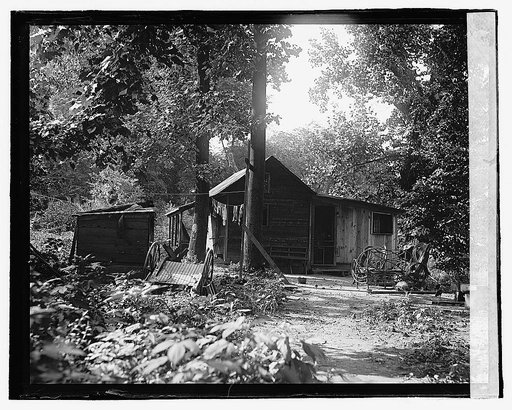 Cabin in woods