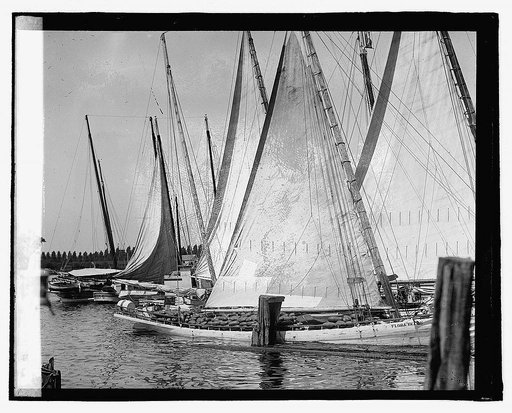 Watermellon boats, 8/17/22