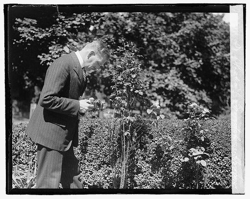 Dr. Slavko Grovitch, 8/22/22