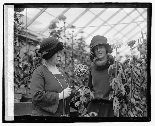 Mrs. Wallace & Mary Wallace, [11/2/22