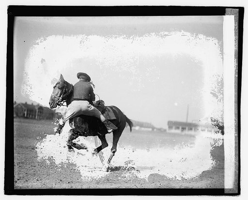 Member Third Cavalry, 11/8/22