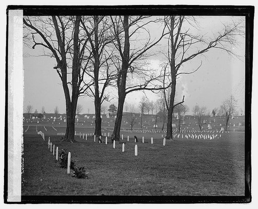 World War section, Arlington