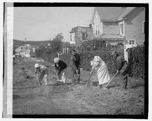 Women working in Struts