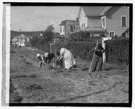 Women working