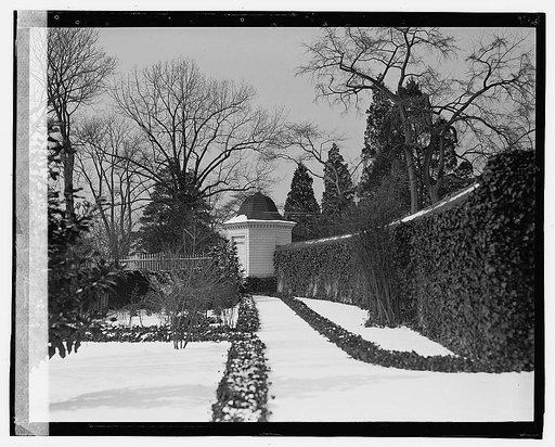 Mt. Vernon