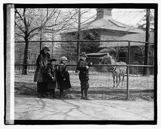 Mrs. Denby and kids at zoo