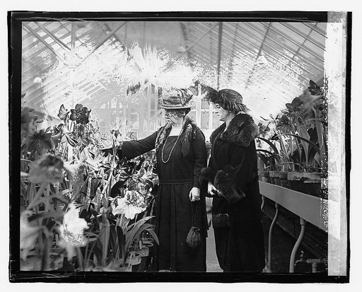 Mrs. Wallace & Mrs. Pugsley, [3/14/23