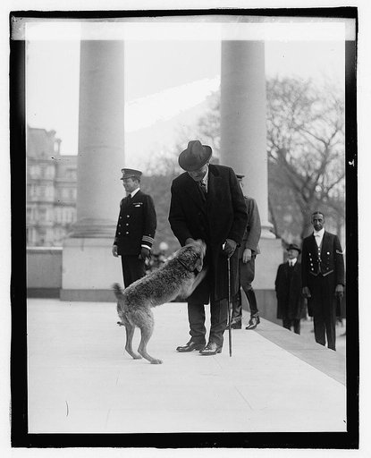 Harding returning to White House, 4/9/23