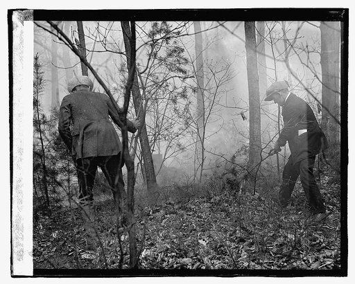 Forest fire, 4/25/23