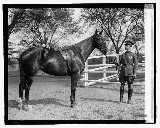 Capt. Wm. C. Ocker, [4/25/23