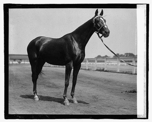 Edw. F., 5/16/23
