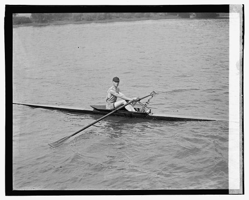 Regatta