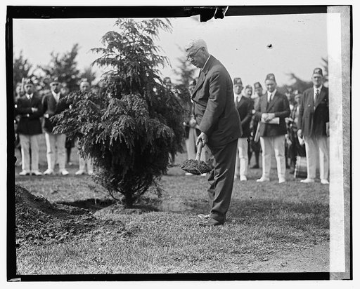 Cong. Snyder of N.Y. planting memorial tree in Potomac Park memory of V.P. Sherman, 6/7/23