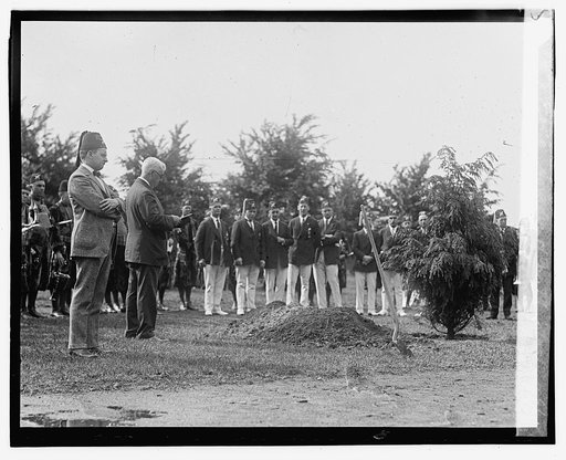 Cong. Snyder of N.Y. planting memorial tree in Potomac Park, 6/7/23