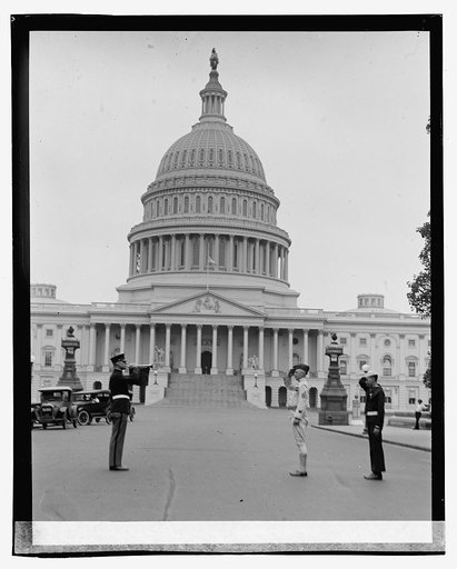 Taps for Harding, 8/10/23