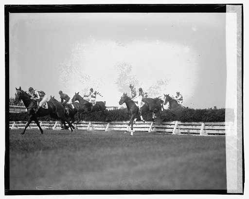 Steeple Chase, 10/2/23
