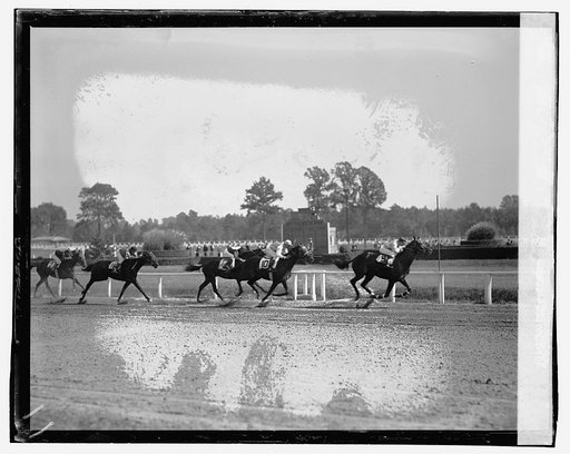 Races, Laurel