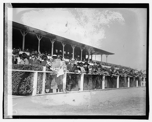 Rail buds, Laurel
