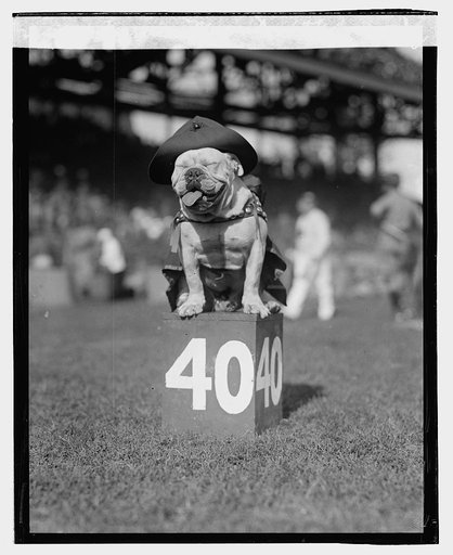 Marine mascot, 10/6/23