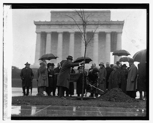 Oberlin tree planting, [11/5/23