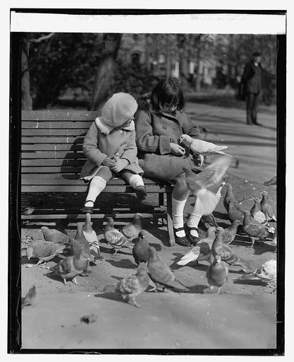 McAdoo children, [11/9/23