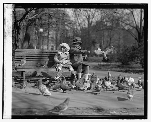McAdoo children, [11/9/23
