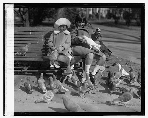 McAdoo children, [11/9/23